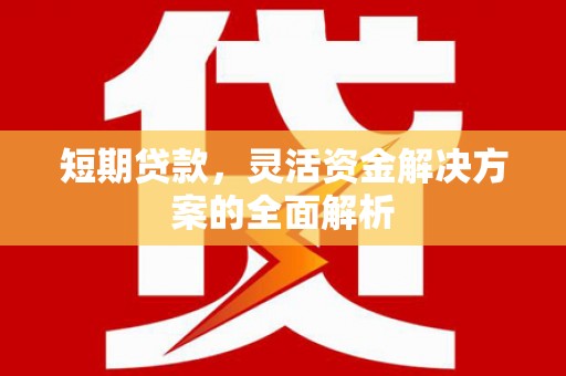 墨竹工卡短期贷款，灵活资金解决方案的全面解析