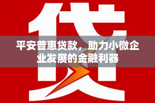 墨竹工卡平安普惠贷款，助力小微企业发展的金融利器