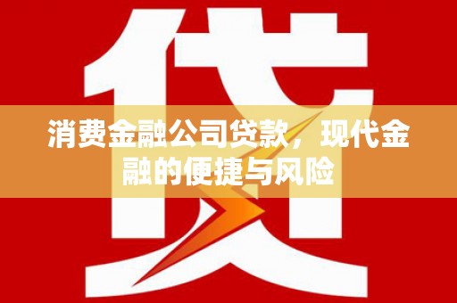 墨竹工卡消费金融公司贷款，现代金融的便捷与风险