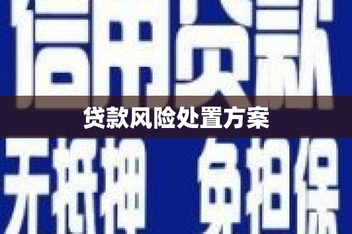 墨竹工卡贷款风险处置方案