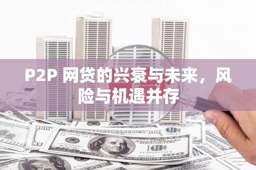 墨竹工卡P2P 网贷的兴衰与未来，风险与机遇并存